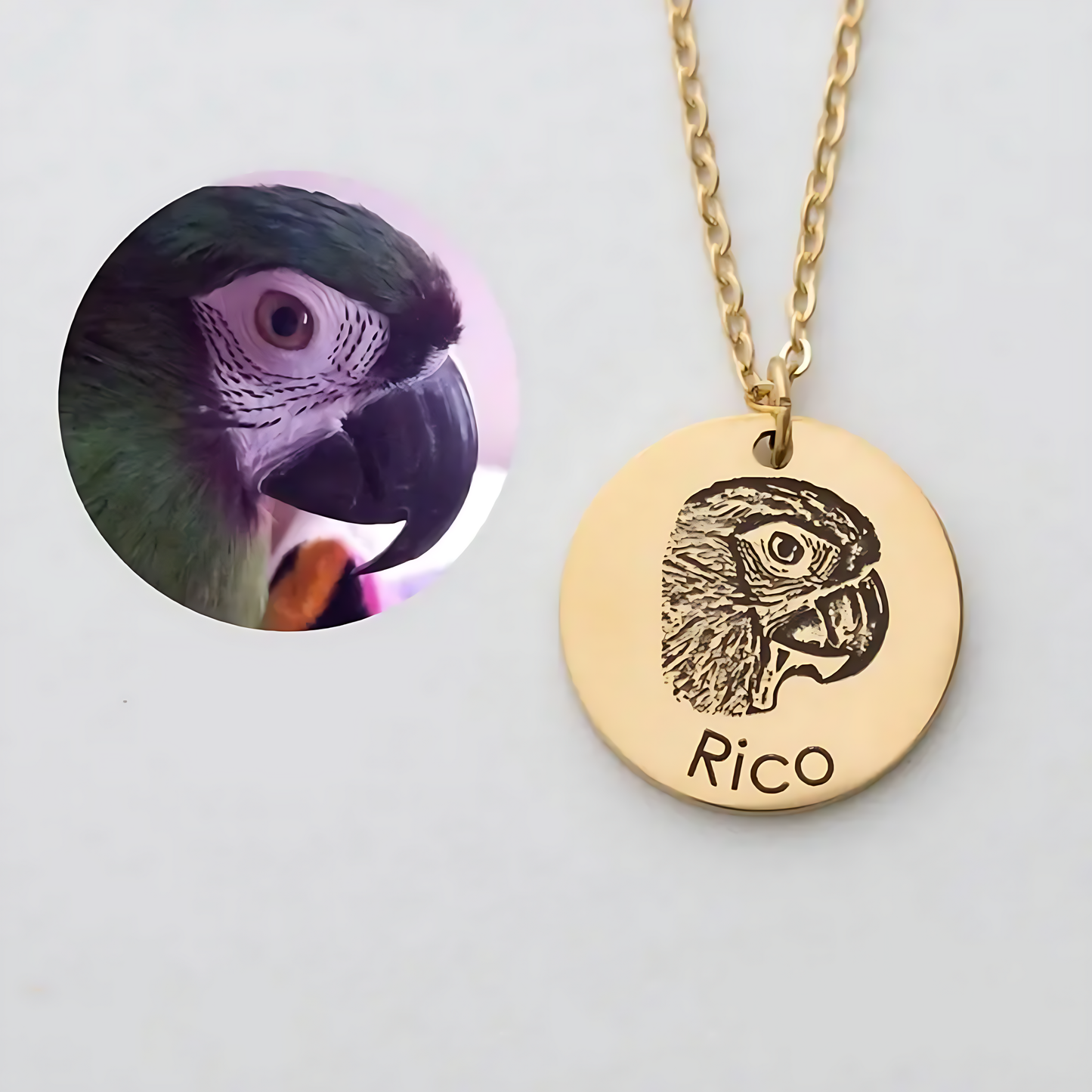 Gepersonaliseerde PetMemory™ Ketting